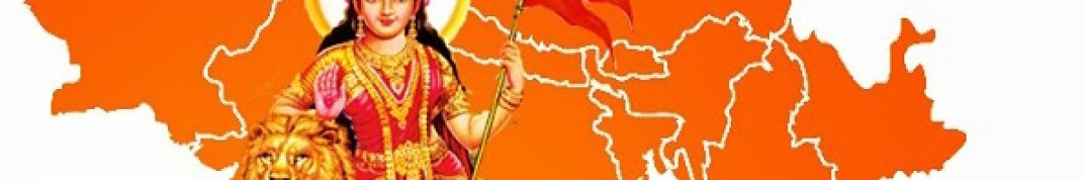 सनातनी योद्धा