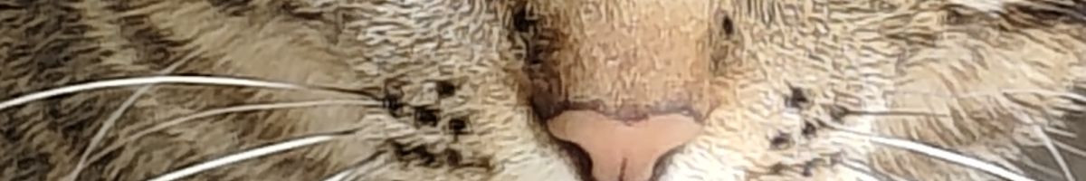 102416198294534418882 