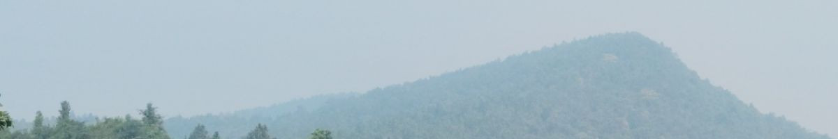 कार्टून 