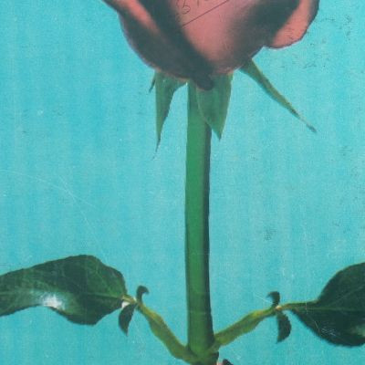 INDIAN_ARMY_OFFICIAL