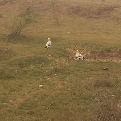 sarveshvar sarveshvar