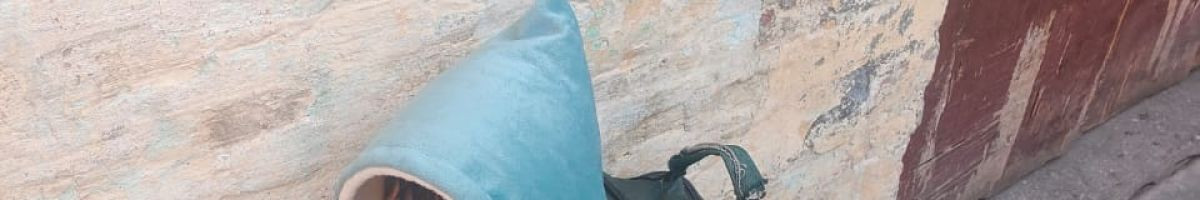 101657991576492888712 