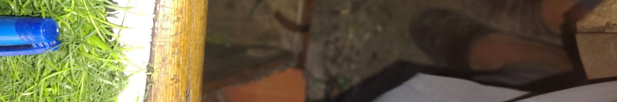 pawangodara9 pawangodara9