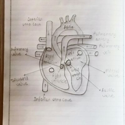 110304614789665821968 