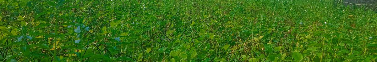 102415203147425100660 