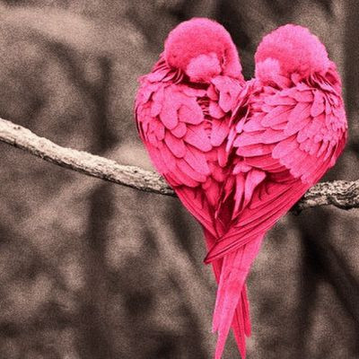 104937276407927305880