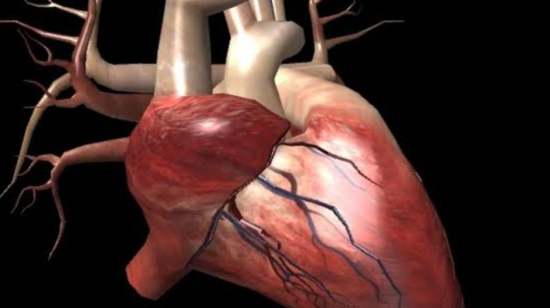 ⁣दूसरे के हृदय में क्या चलता हे रहस्य