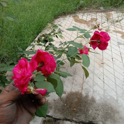 mavilyaEngineeringworks