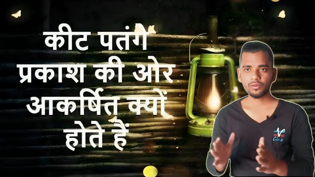 ⁣कीट पतंगे प्रकाश की और क्यों आकर्षित होते है | Keede | Light | Attraction | AC Prashant