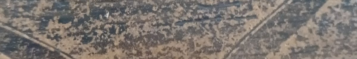 112498109037024391504 