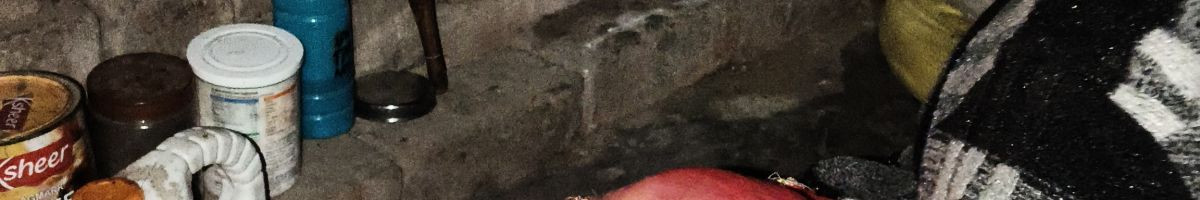 103519820474095768712 