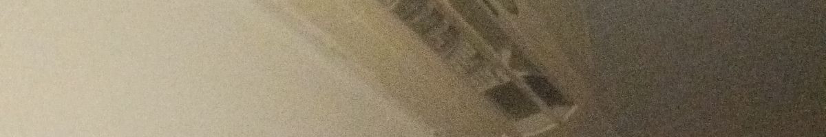 112172864852504772942 