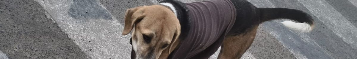 Rakeshtak7878 Rakeshtak7878