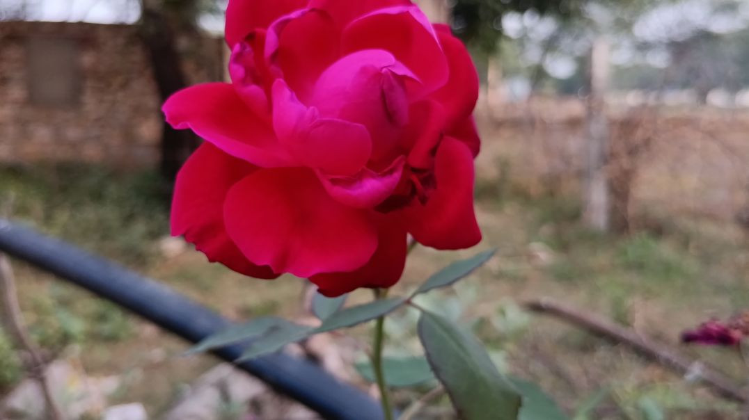 InShot_20260113_202807370