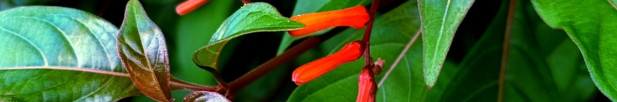 vikashrajput vikashrajput