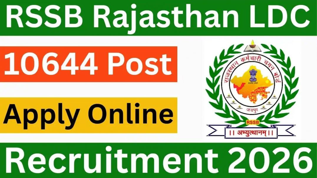 ⁣Rajasthan LDC Bharti 206
