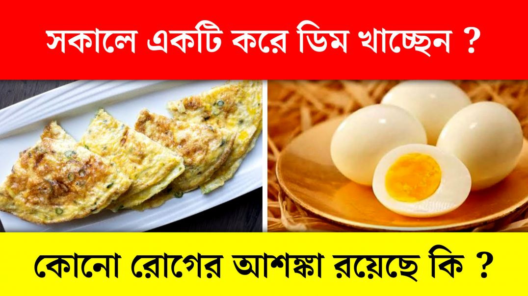 ⁣সকালে প্রতিদিন ডিম খেলে কি হয় ? Egg Benifits