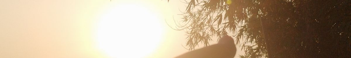 KARANKUMAR KARANKUMAR