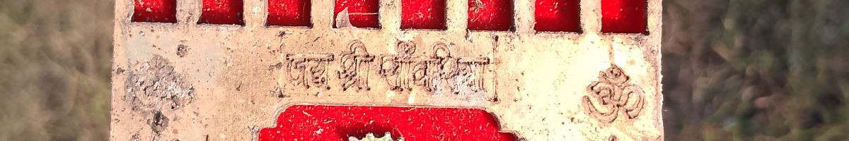 108233030092733455439 