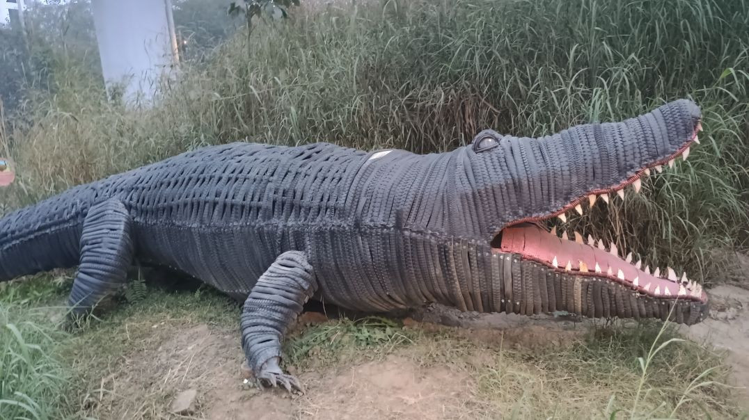 ⁣Zungal book comedy video