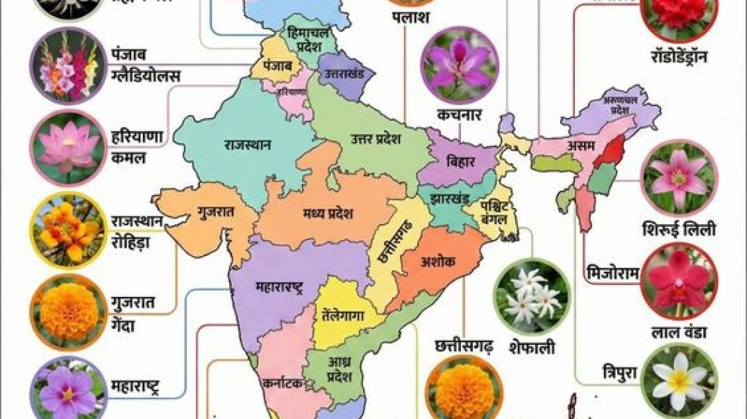 कैसे_एक_राजकुमार_ने_साम्राज्य_बनाया