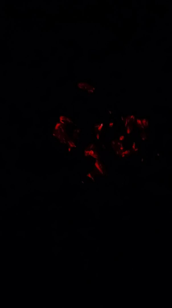 Ek din stories jarur banegi