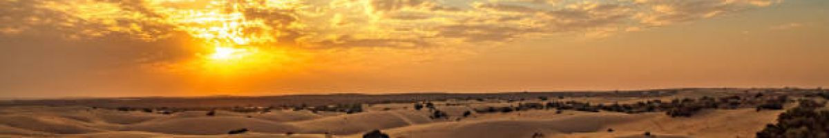 102534361819757826405 