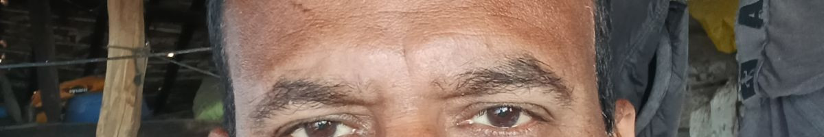 113797195178913968167 