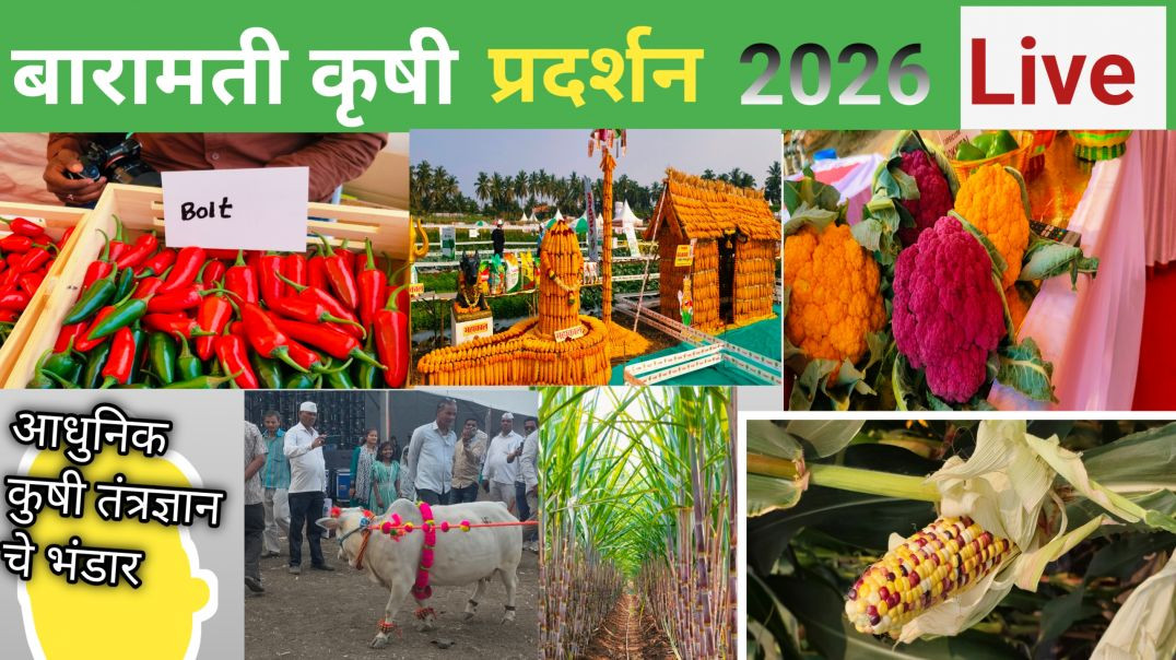 ⁣Baramati krishi pradarshan 2026 ! बारामती कृषी प्रदर्शन 2026