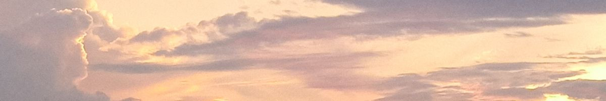 Amanshomvanshiaman45 ☑️