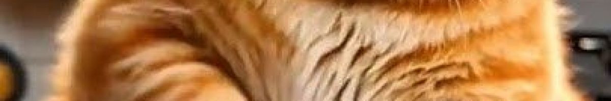 103647446309881858369 