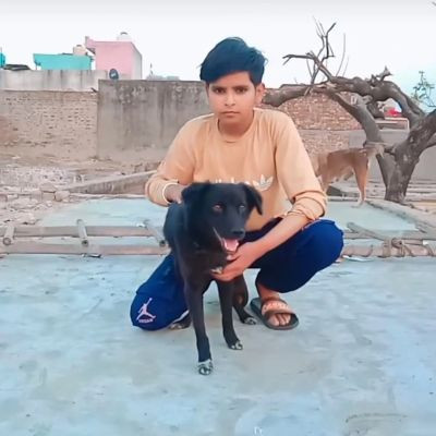 sharmaashu84811@gmail.com sharmaashu84811@gmail.com