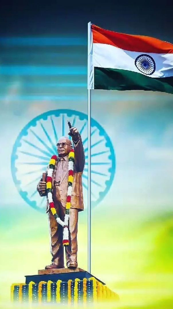 FB_VID_2137624165745775525