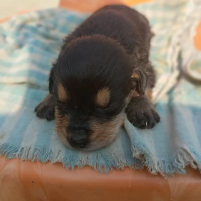 107855736686988612573 