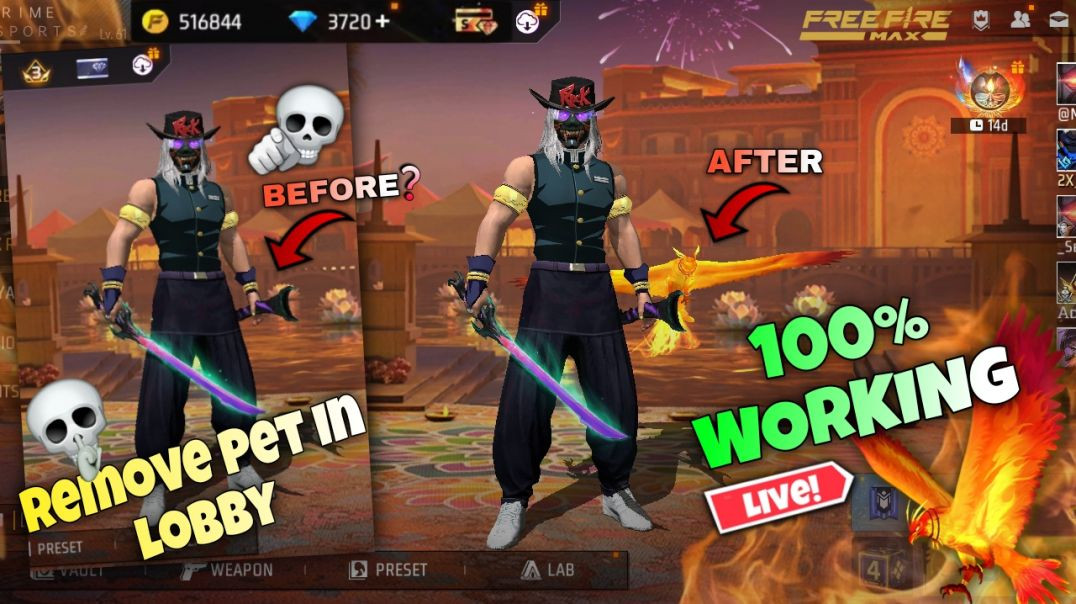 ⁣HOW TO REMOVE PET IN FREE FIRE | HIDE PET IN LOBBY | LOBBY ME SE PET KESE HATAYE  #freefire#lobbypet