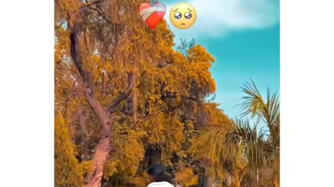 ⁣अब मैं क्या करूं