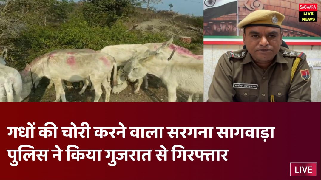 ⁣गधों की तलाश में हुई पुलिस कामयाब