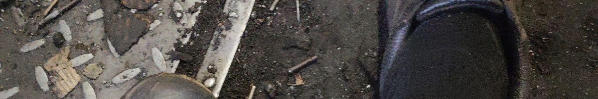 104495456570783444697 