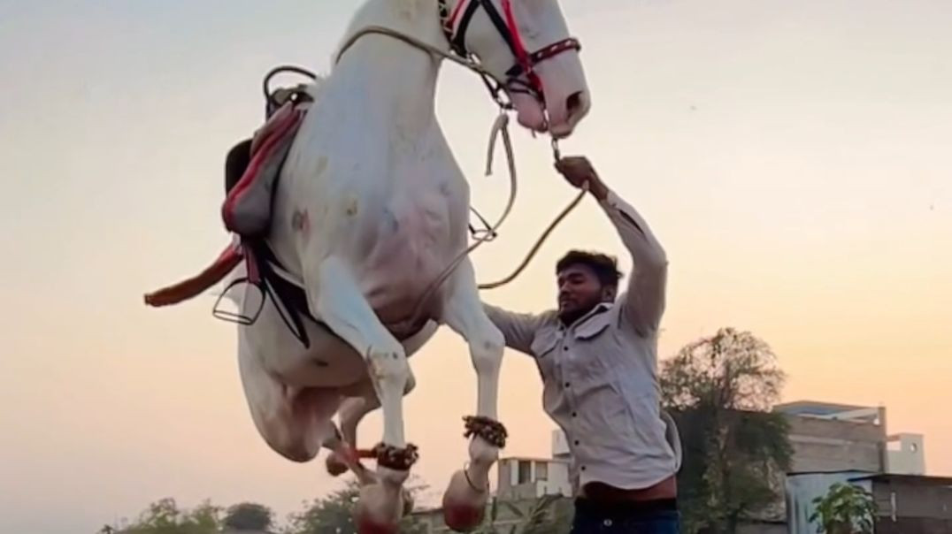 Horsepower_️_reels_viral_trending