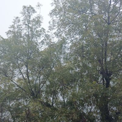 भक्ति मार्ग