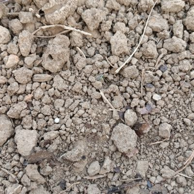 115081585137750698177 