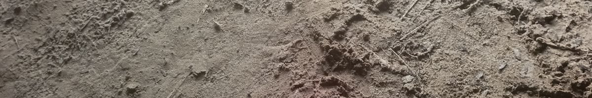 MukeshBishnoi29 MukeshBishnoi29