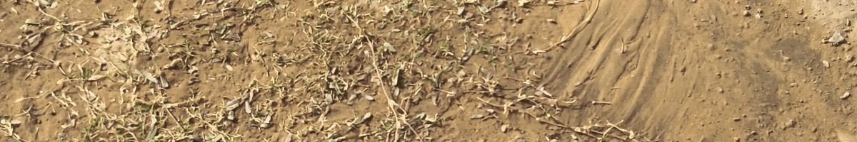 Dineshmarwan Dineshmarwan