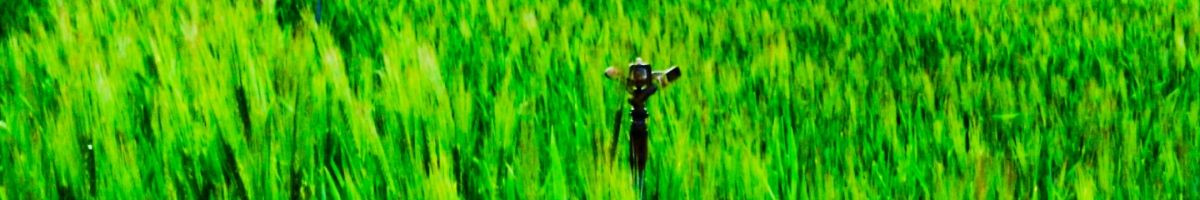 104876839146365330672 