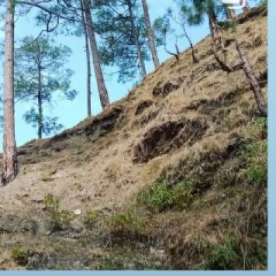 104113642951678358018 