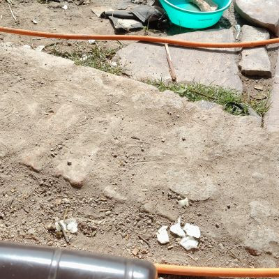 108320095513231859481 