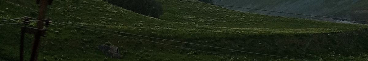 104888041372322400657 