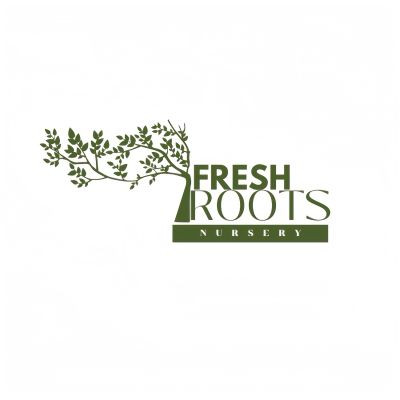 112661007674508826663 