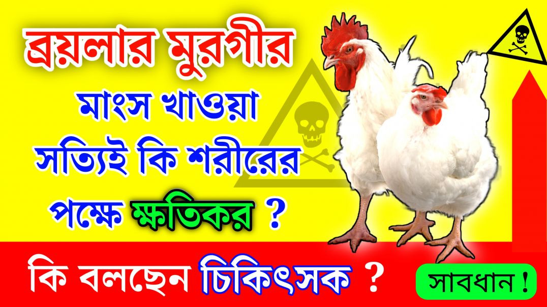 ⁣ব্রয়লার মুরগির মাংস খাওয়া কি ক্ষতিকর? | Broiler Chicken