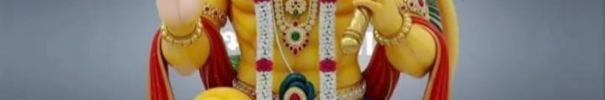 116488897575650166916 